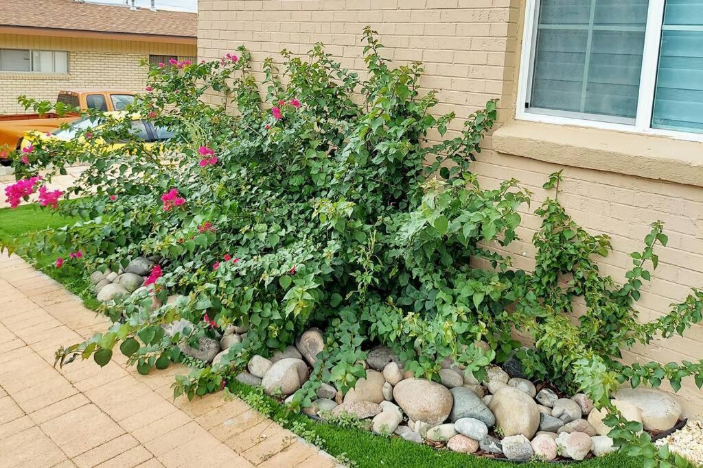 My Cozy Duplex A In The Heart Of West Side Villa El Paso Exteriör bild